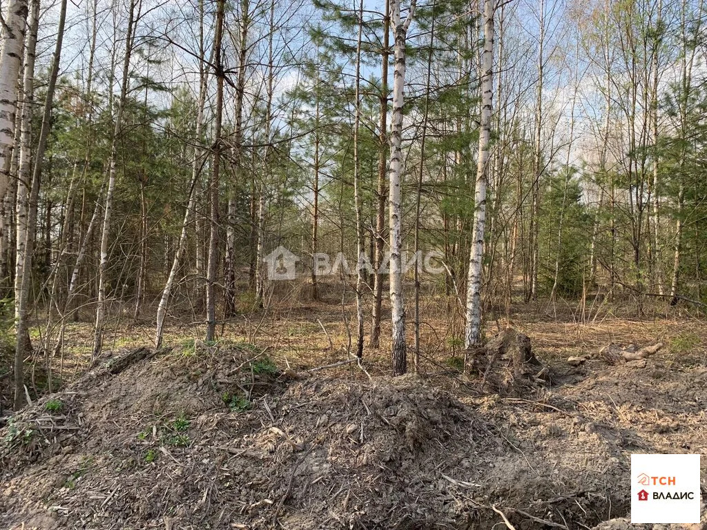 Продажа участка, Щелковский район - Фото 2