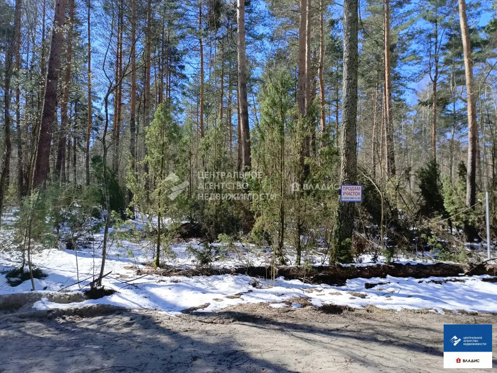 Продажа участка, Рязанский район, садоводческое товарищество Лесной - Фото 5