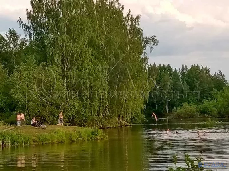 Участок никольское тосненский. Захожье озеро Юрьевское. Захожье Тосненский район. Озеро Никольское Тосненский район. Юрьевское озеро Тосненский район.