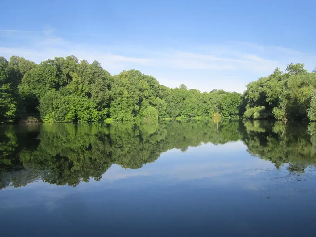 !00 соток рядом с Окой/ 50 тыс. за сотку. - Фото 3