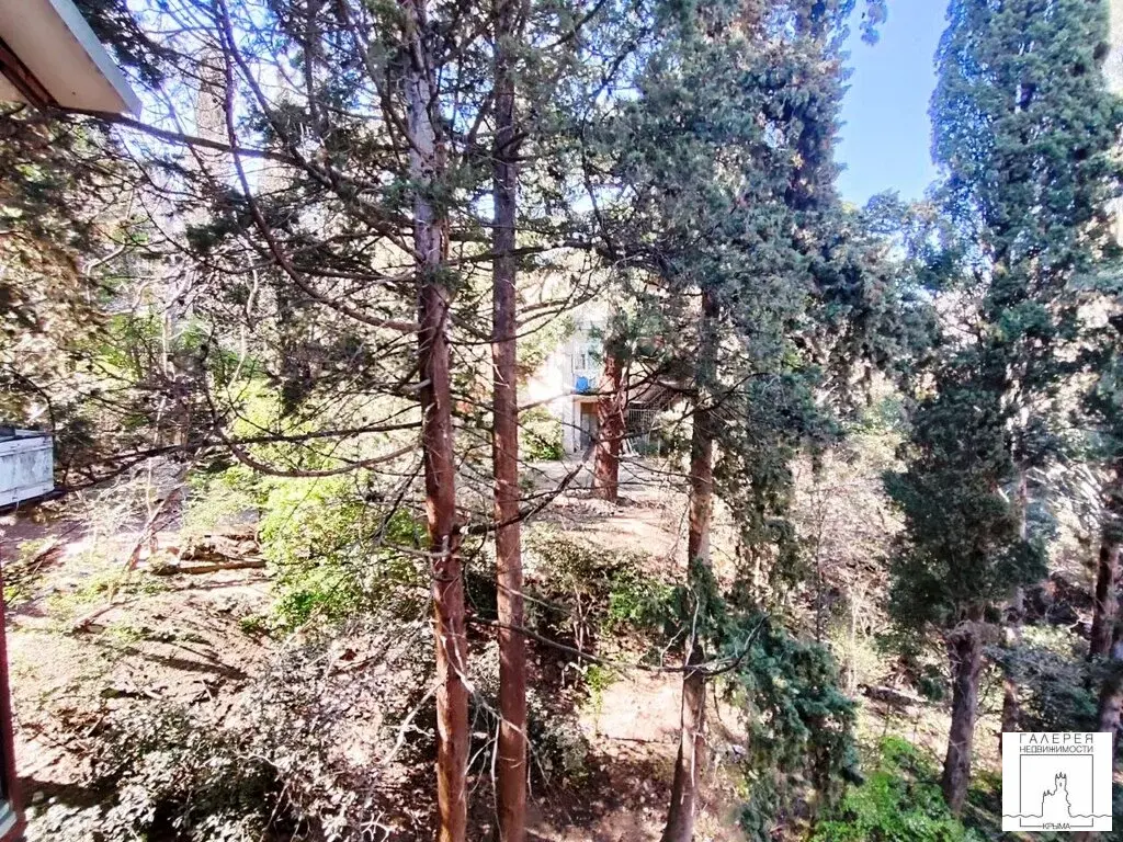 №4554-Уникальная 2ккв в историческом доме Ялты - Фото 3