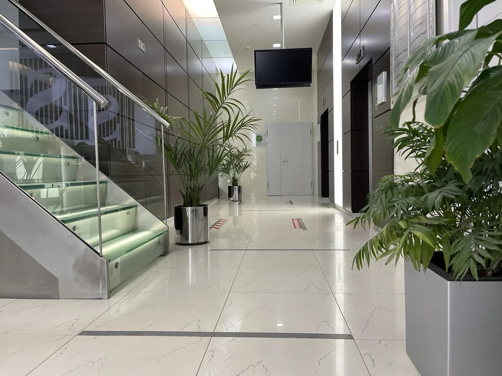 Продается ПСН 287.6 м2 - Фото 5