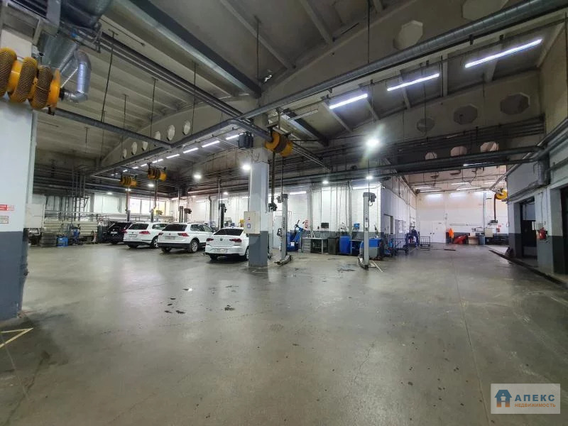 Продажа помещения пл. 9928 м2 под производство, автосервис, склад, , ... - Фото 6