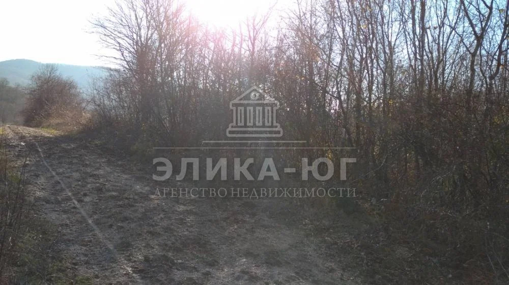 Продажа участка, Новомихайловский, Туапсинский район, Листопадная ул. - Фото 8