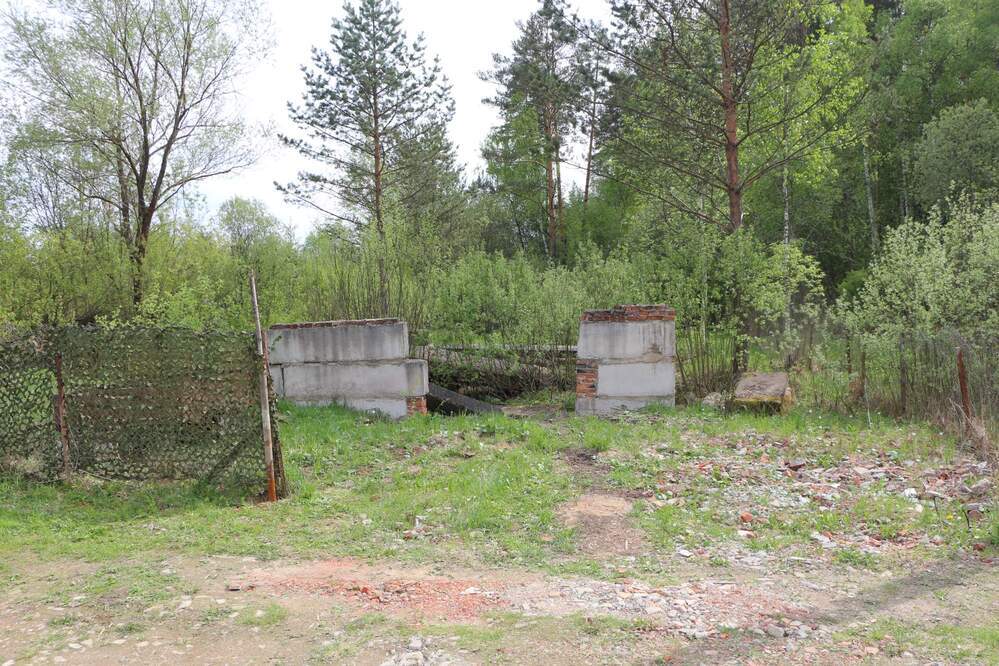 Лучинское дмитров. СНТ Лучинское Климовск. Лес Лучинское Подольск. СНТ Загорянский лес. СНТ через лес от Лучинского Подольск.