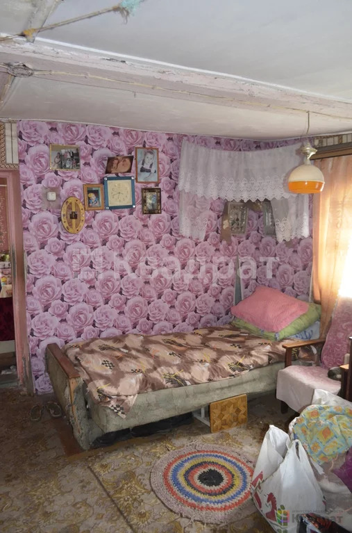 Продам родовую усадьбу - Фото 14
