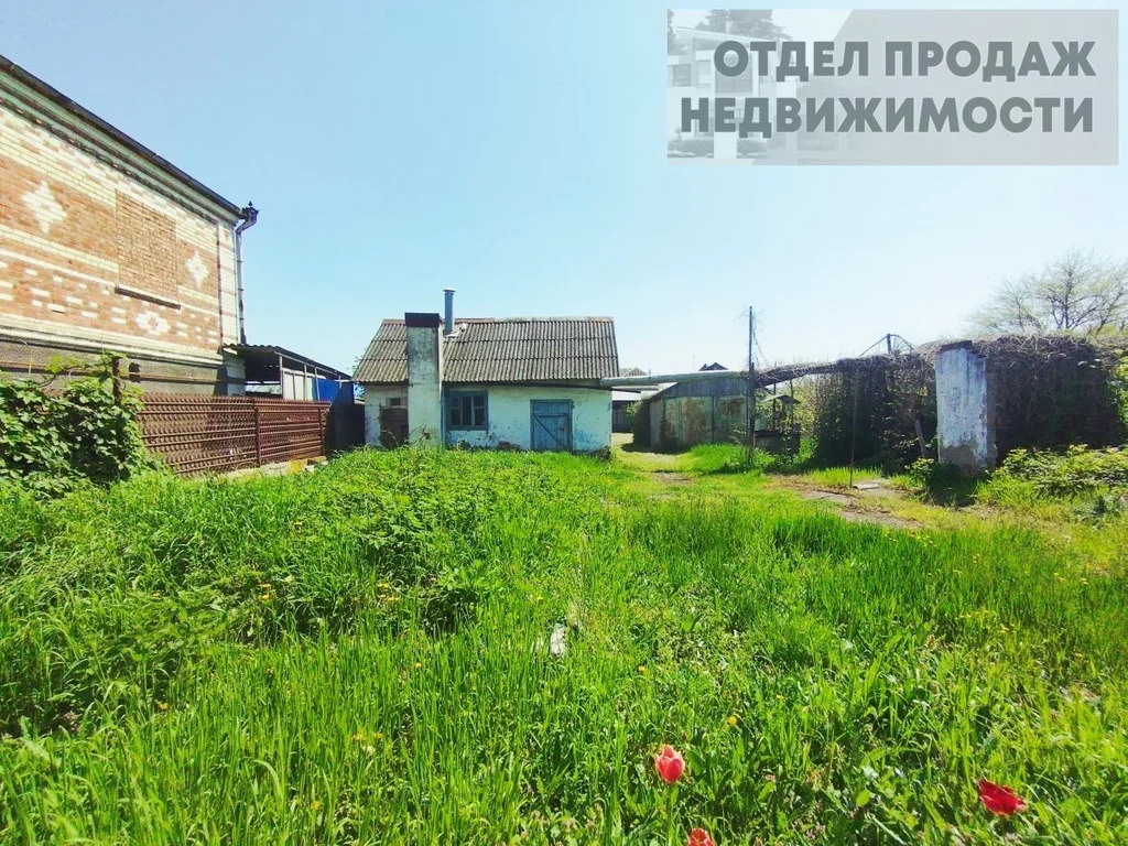 Участок - Фото 4