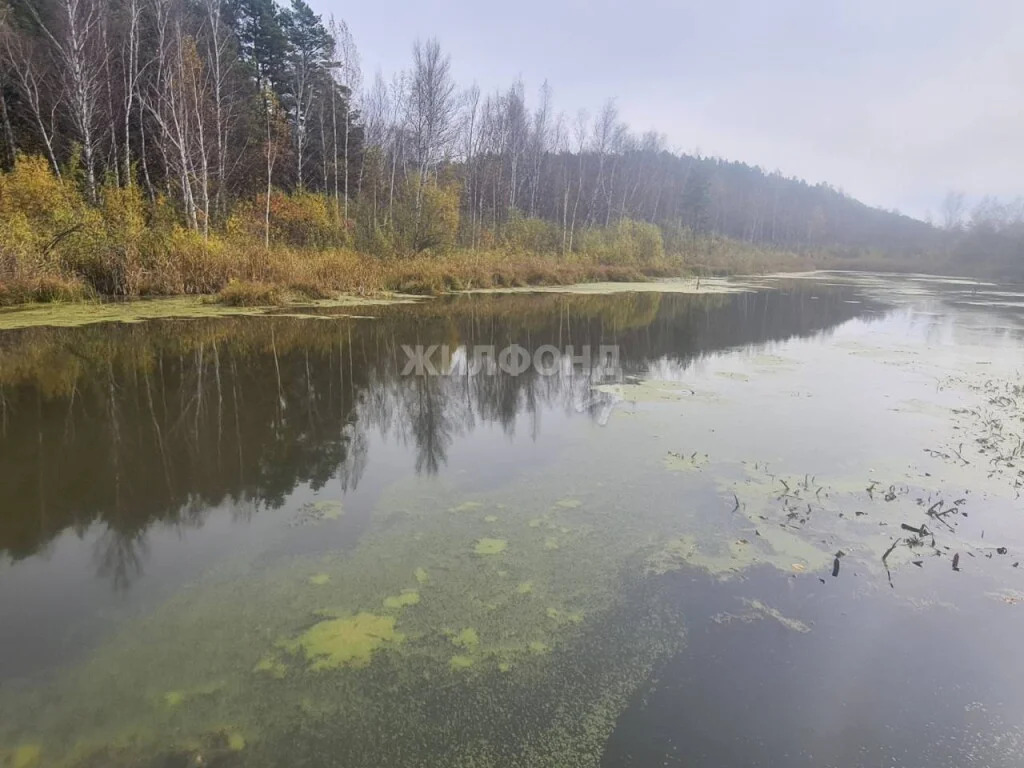 Продажа дома, Новосибирск, Сосновая (снт Бытовик) - Фото 12