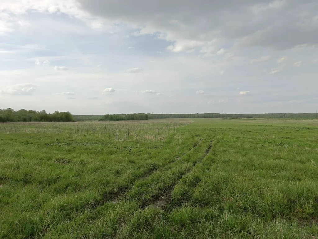 Продажа участка, Богородское, Коломенский район - Фото 1