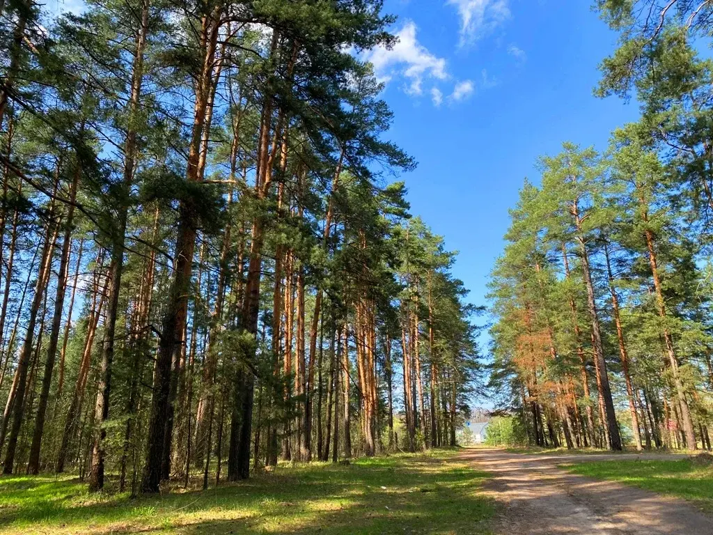 Дом в деревне Цаплино - Фото 26