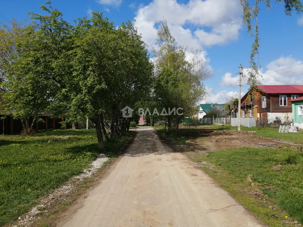 Суздальский район, село Добрынское, Пионерская улица,  дом на продажу - Фото 28