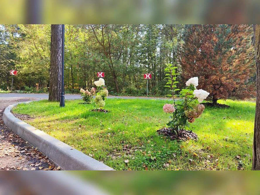 Продается земельный участок 10.03 сот. - Фото 7