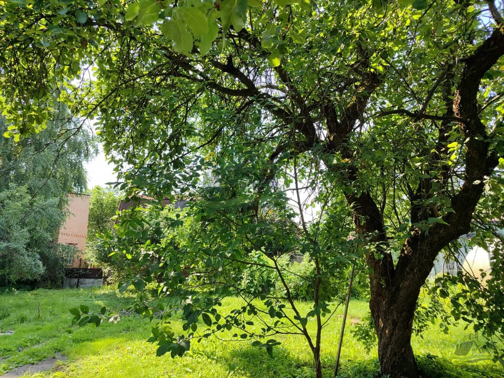 Продажа дома, Белозериха, Раменский район, Текстильщик-2 снт. - Фото 24