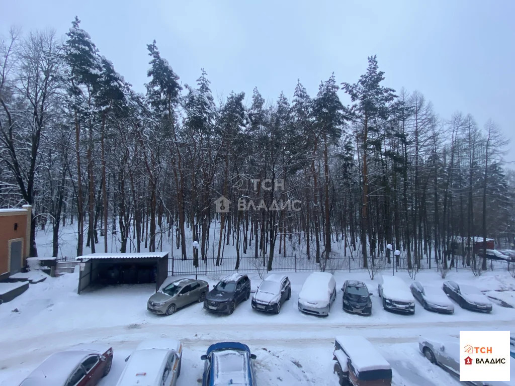 Продажа квартиры, Пушкино, Воскресенский район, Институтская улица - Фото 15