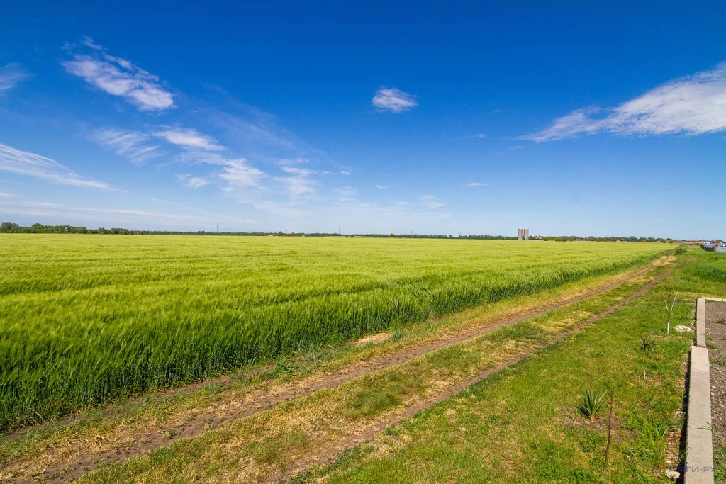 Продажа земельного участка, Знаменский - Фото 2