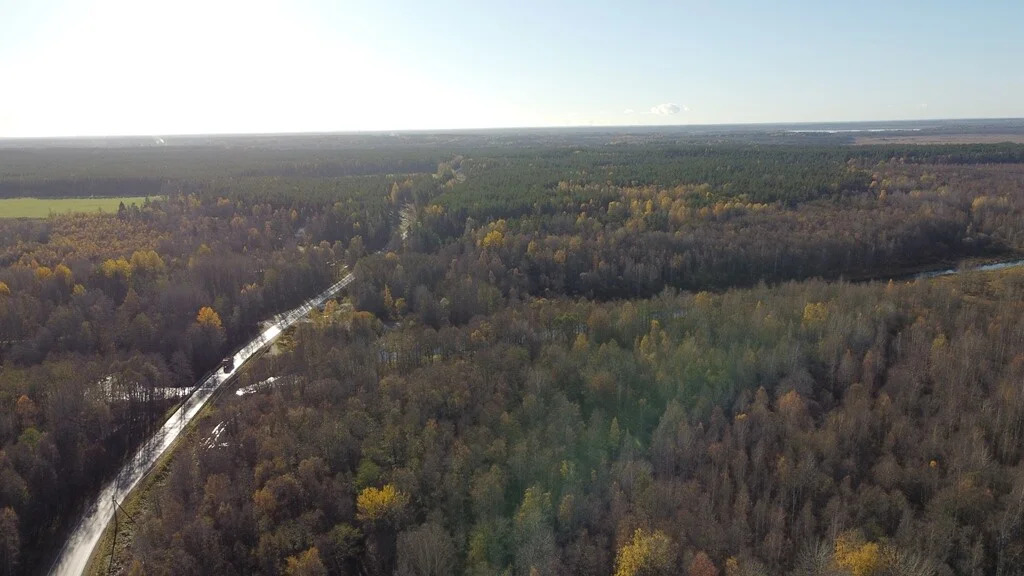 Продажа участка, Барышево, Выборгский район - Фото 17