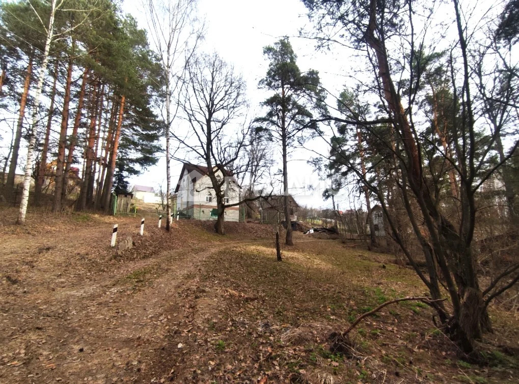 Судогодский район, деревня Ладога,  земля на продажу - Фото 13