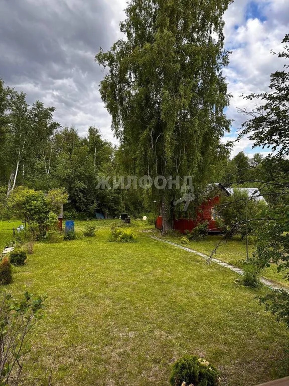 Продажа дома, Плотниково, Новосибирский район, с/о Рябинка - Фото 12