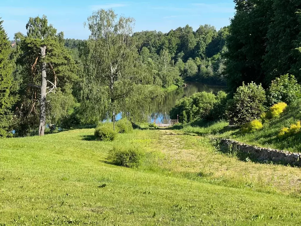 Участок в деревне с видом на церковь, рядом с рекой и лесом - Фото 10