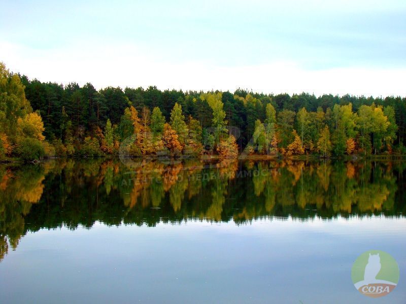 Черная речка тюмень фото