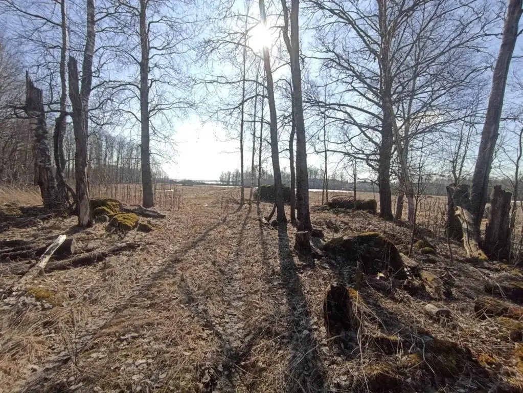 Участок в 100 м от озера Губановское - Фото 4