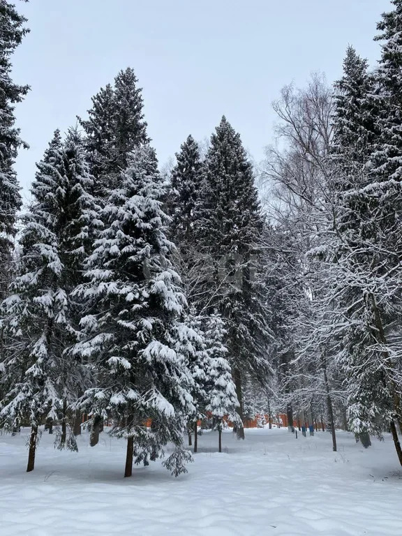 Продажа дома, Матвейково, Дмитровский район - Фото 3