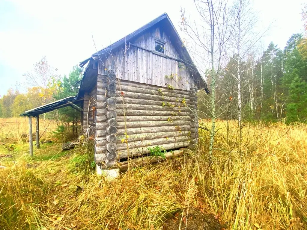 Дом в деревне Пруды - Фото 7