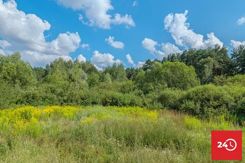 В продаже дом в тихом месте рядом с лесом ул. Молодогвардейская - Фото 2