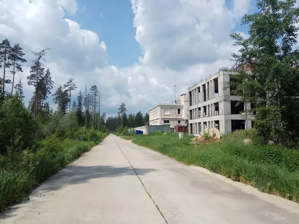 Продажа большого лесного участка в поселке на Новорижском шоссе 18км - Фото 4