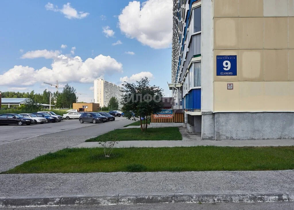 Продажа квартиры, Новосибирск, Виктора Уса - Фото 15