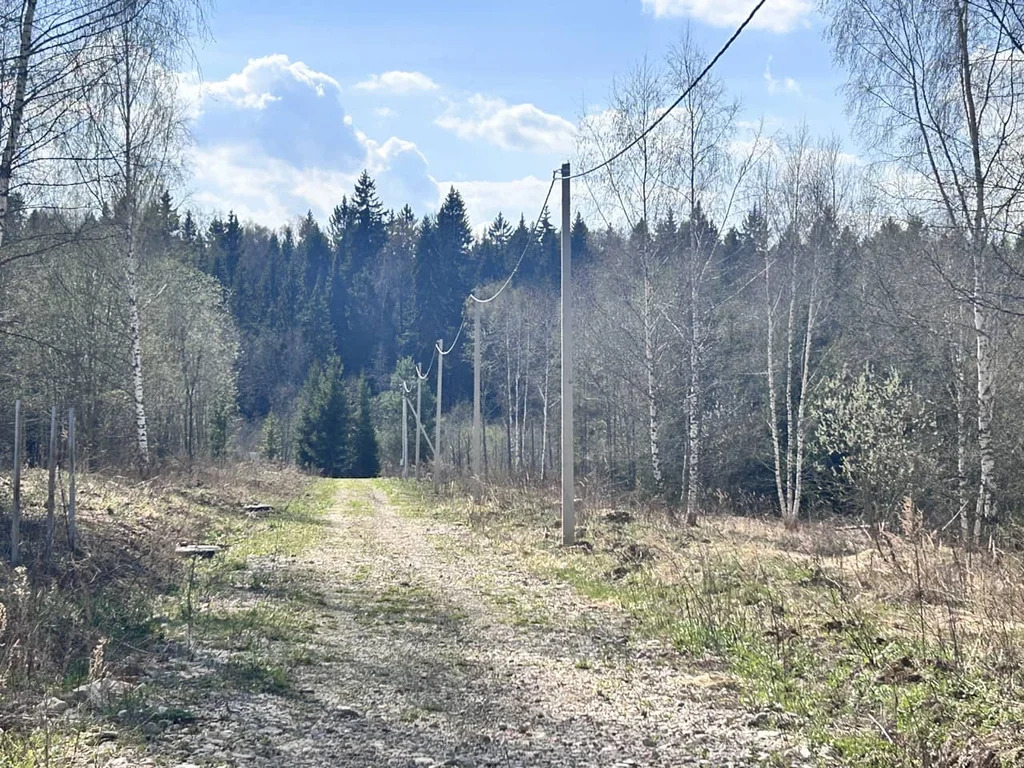 Продажа участка, Дмитровский район - Фото 9