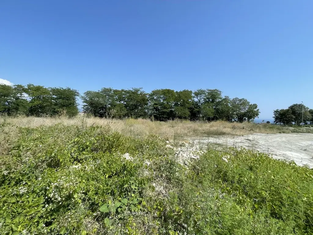 Купить Участок В Воронеже Под Коммерцию