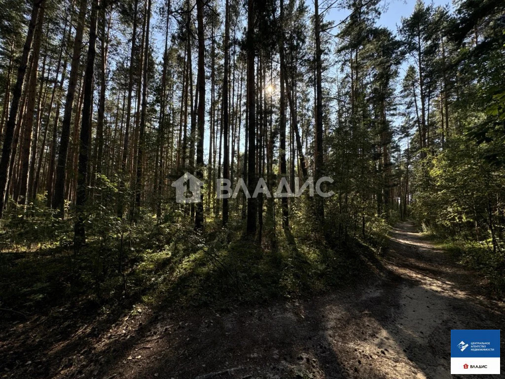 Продажа участка, Казарь, Рязанский район - Фото 0