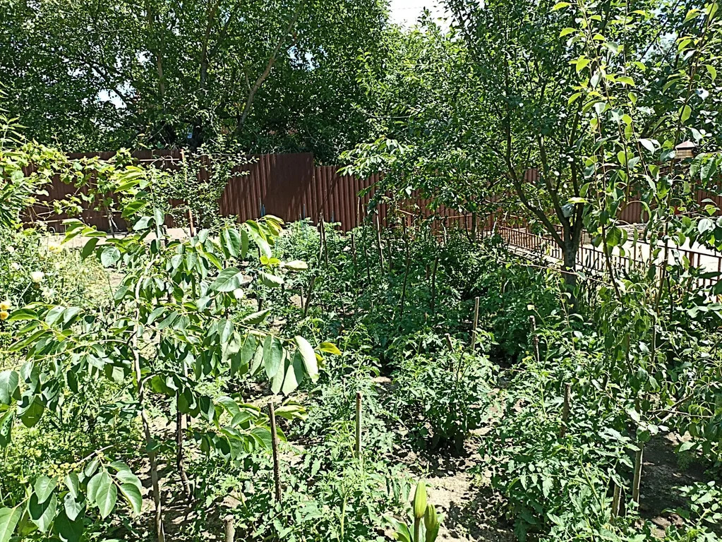 Продажа дома, Абинск, Абинский район, ул. Островского - Фото 13