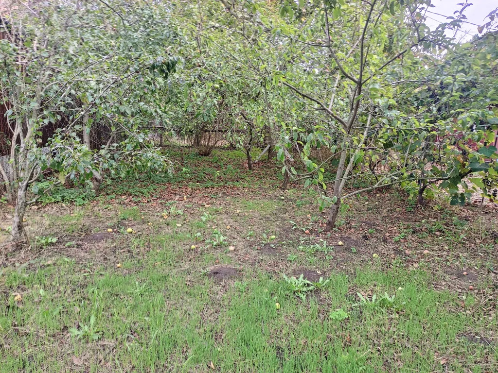 Продажа участка, Темрюк, Темрюкский район, ул. Анджиевского - Фото 4