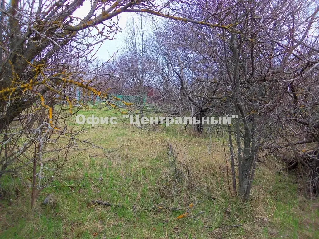 Неклиновский район, с.Морской Чулек, участок 6,5 сот. в 1,5 км от моря - Фото 13