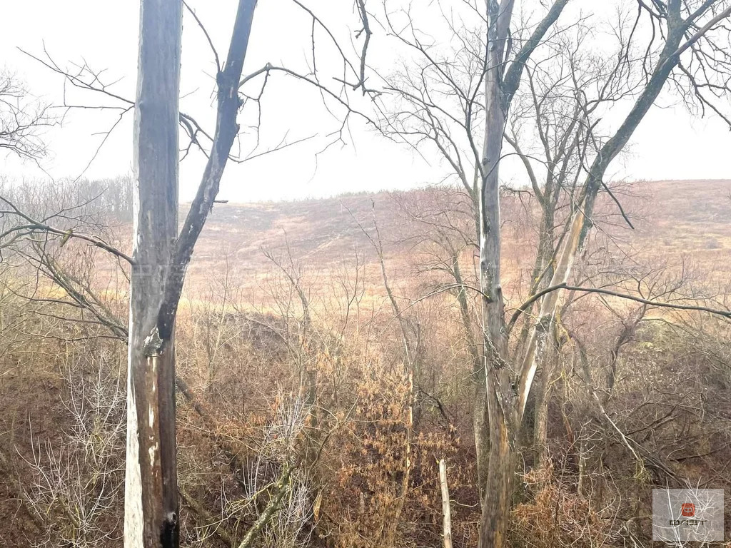 Продажа участка, Медведково, Верхнеуслонский район, ул. Садовая - Фото 10