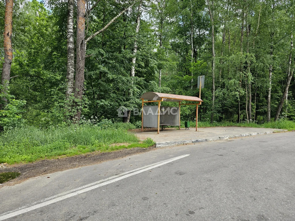 Богородский городской округ, деревня Пашуково, Горная улица,  земля на ... - Фото 36