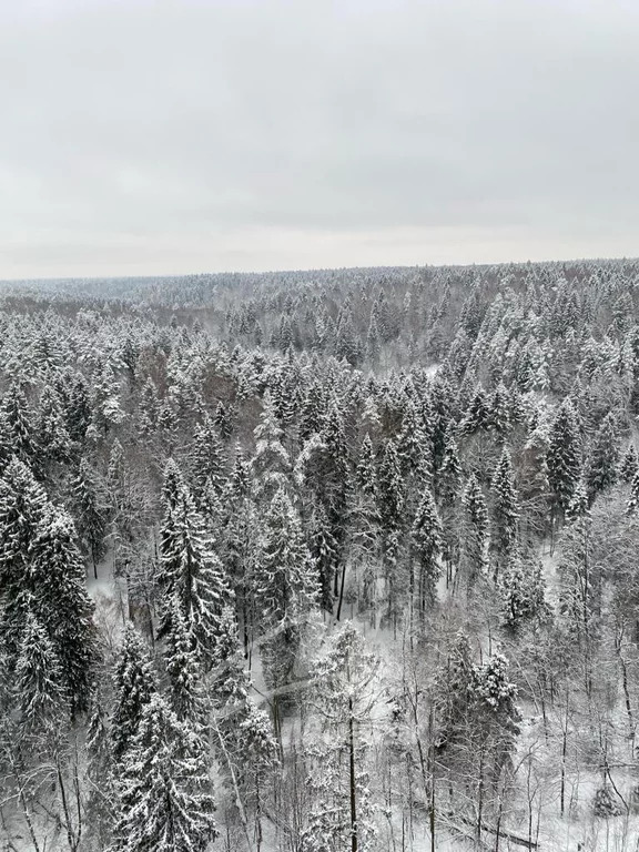 Продажа квартиры, Красногорск, Красногорский район, Космонавтов б-р. - Фото 6