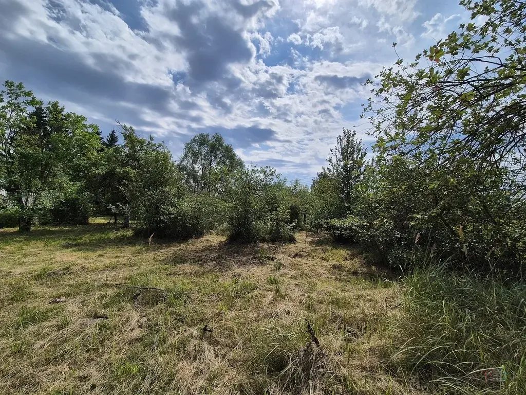 Дом 42 м2 на участке 15 сот. - Фото 23