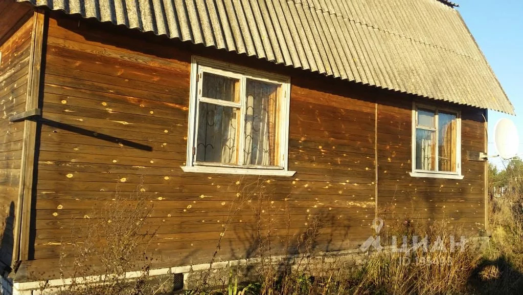 Погода савино гагаринский. Савино Смоленская область. Церковь в Савино Смоленская область Гагаринский район. Село зелёное производитель д.Савино. Дом Савино.