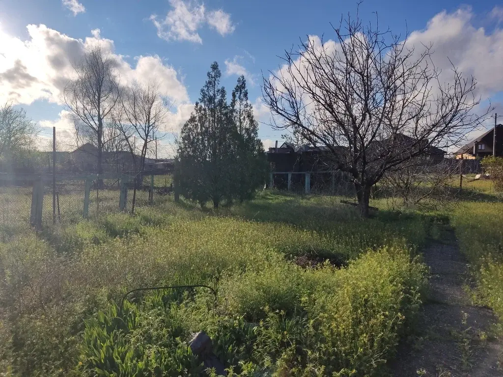 Продам земельный участок - Фото 8