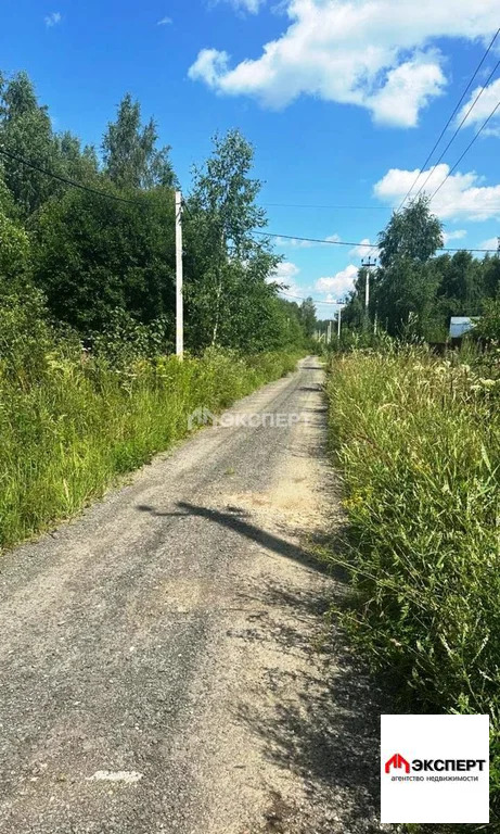 Земельный участок - Фото 5