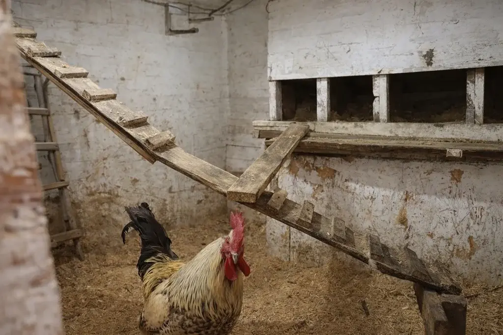 Продаётся дом по ул. Красноармейская - Фото 11