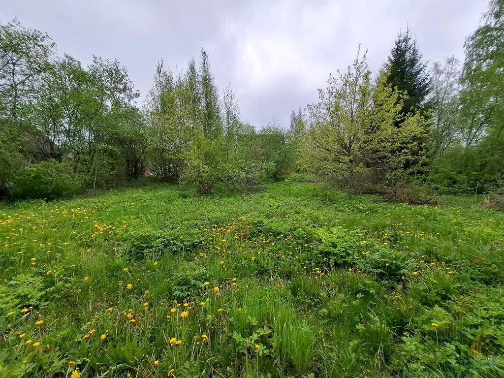 Продажа участка, Гатчинский район, садоводческий массив Красницы - Фото 14