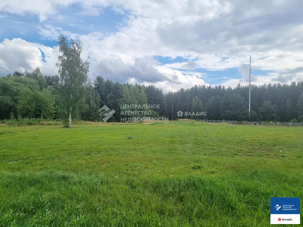 Продажа участка, Ласково, Рязанский район, Весенняя улица - Фото 3