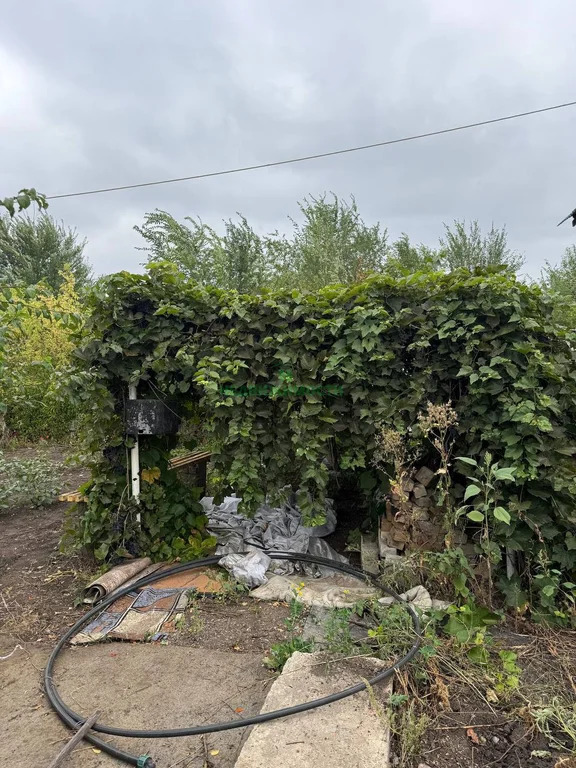 Продажа дома, Быково-Отрогское МО, Балаковский район, 626 - Фото 6