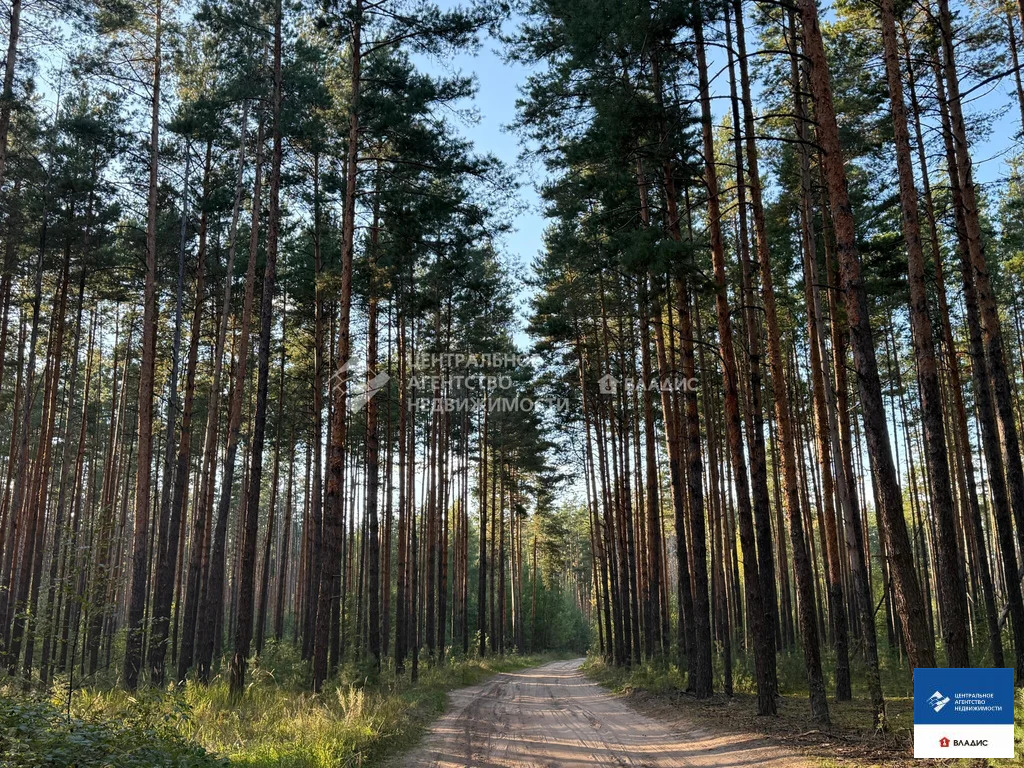 Продажа дома, Шульгино, Касимовский район - Фото 12