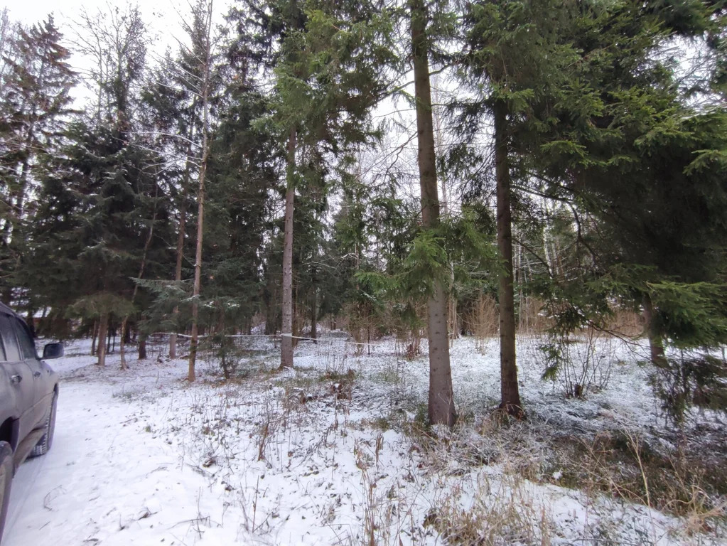 Продажа участка, НИИ Радио, Одинцовский район, Тыльная улица - Фото 1