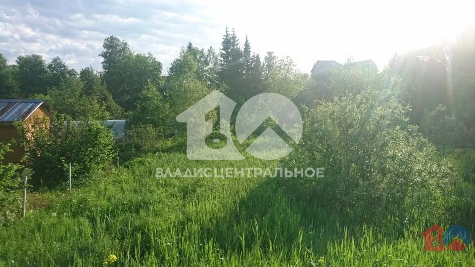 Тогучинский район, СНТ Лесовик,  земля на продажу - Фото 2